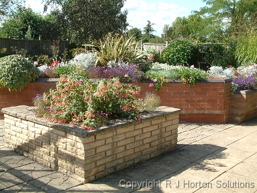 Growth therapy garden_4